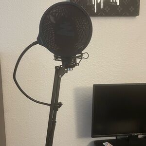 Recording microphone